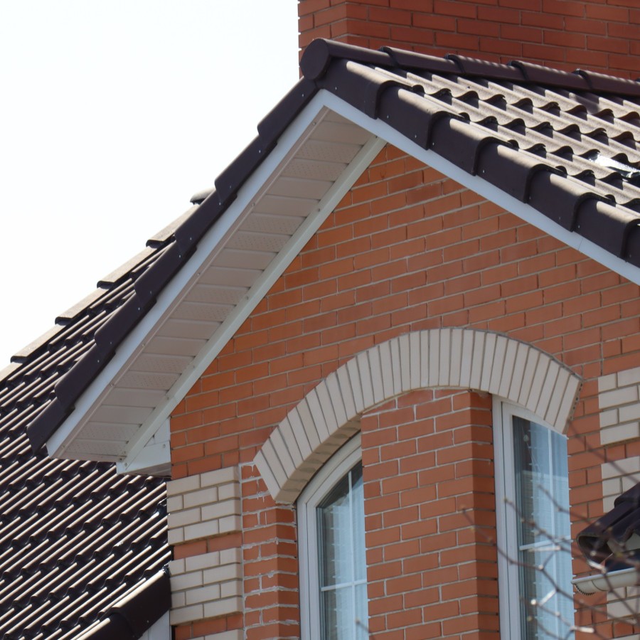 IMG_1488_1