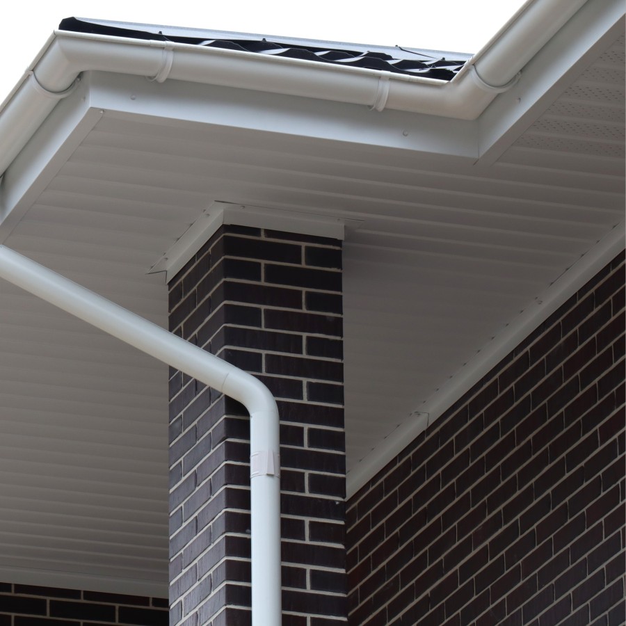 IMG_1264_1