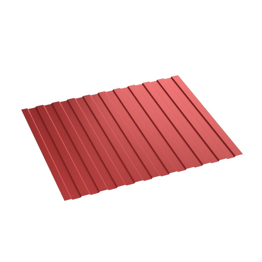_RAL 3020 (20)